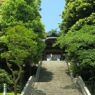 鶴岡八幡宮
